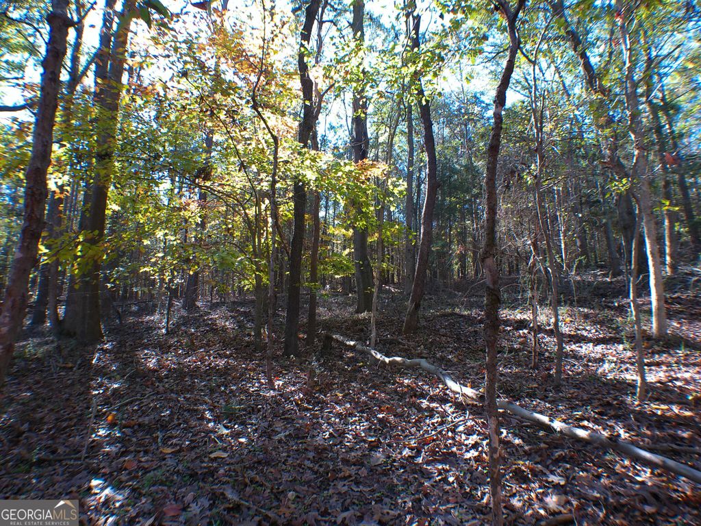 0 Dusty Road, Bowman, GA 30624 — photo 4