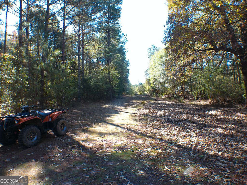 0 Dusty Road, Bowman, GA 30624 — photo 5