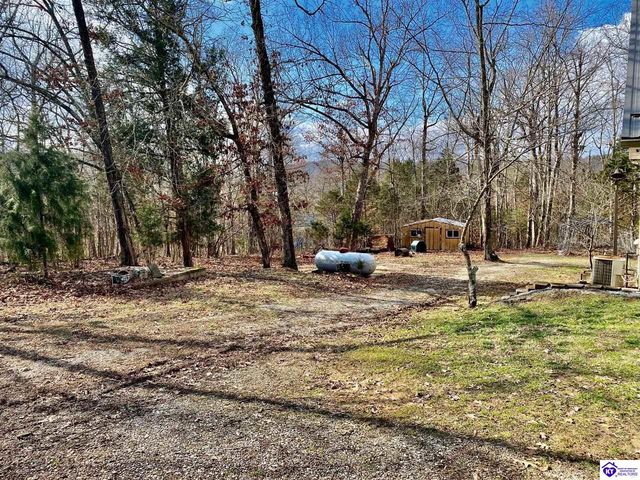 1060 Concord Point Road, Falls Of Rough, KY 40119