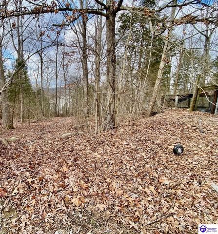 1060 Concord Point Road, Falls Of Rough, KY 40119