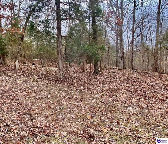 1060 Concord Point Road, Falls Of Rough, KY 40119