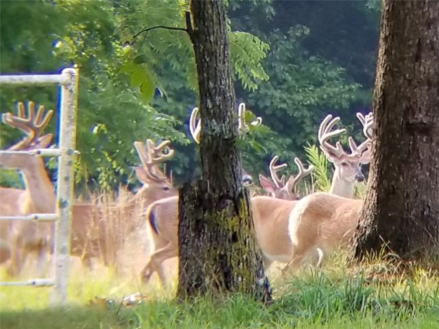 8008 Blackberry Way, Decatur, AR 72722