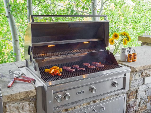 330 High Park Court, Silverthorne, CO 80498