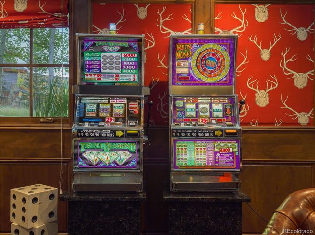 330 High Park Court, Silverthorne, CO 80498