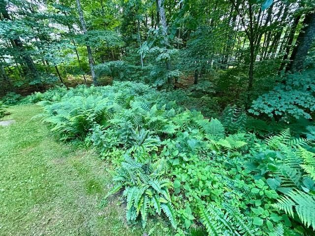 75 Ledgewood Drive, Randolph, VT 05060