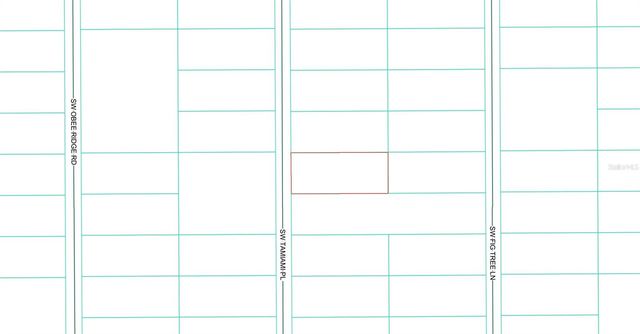 0 TBD SW TAMIAMI PLACE, Dunnellon, FL 34431