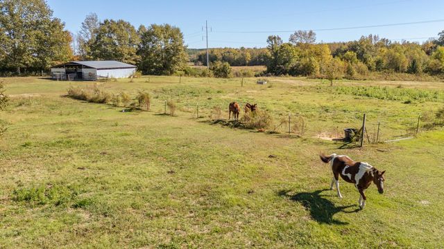 3540 DAMON RD, Michie, TN 38357