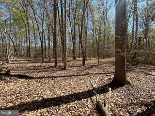 MT NEBO ROAD, Chesapeake City, MD 21915