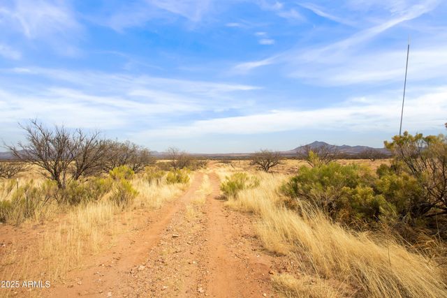 TBD E Codorniz Sendero Road 52, Hereford, AZ 85615