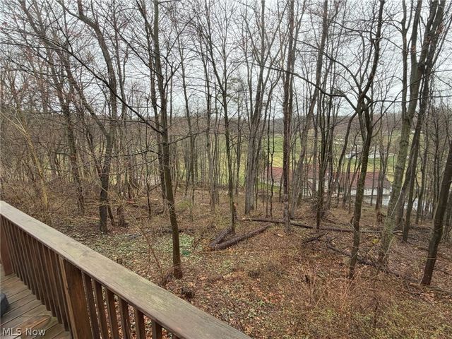 144 W 1st Street, Minerva, OH 44657