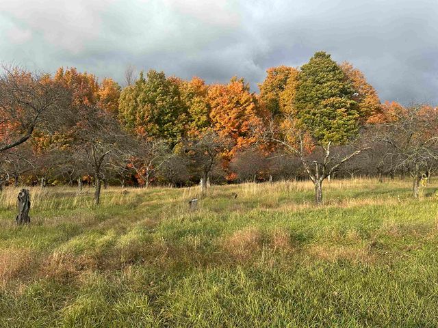 Parcel 8 Karnes Road, Glen Arbor, MI 49636