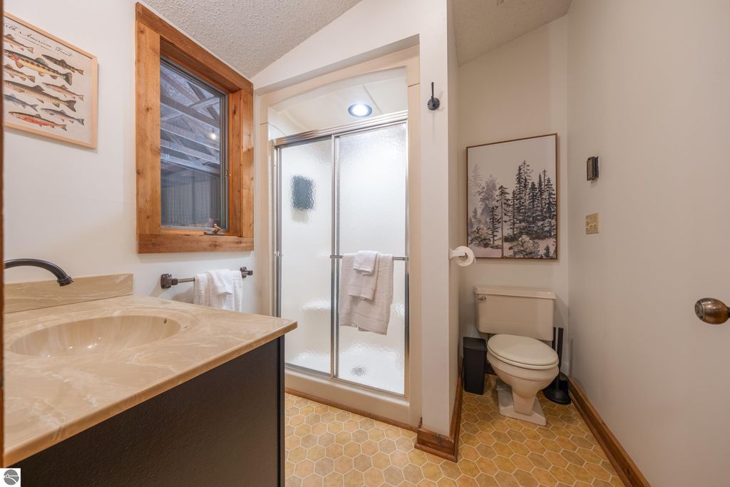 Image 21 of property listing at 5811 East Village Drive, Bellaire, MI 49615