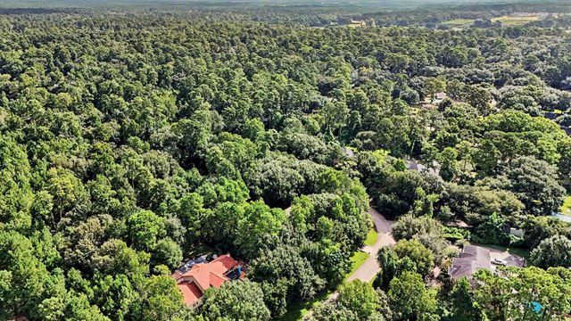 19002 Timberlake Oaks Drive, Tomball, TX 77377