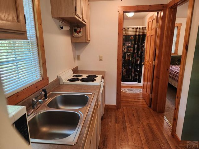 181 Lion Gulch Rd, Rye, CO 81069