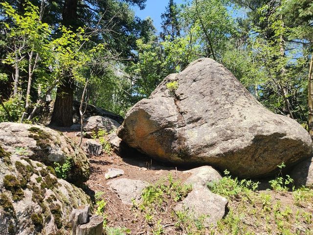 181 Lion Gulch Rd, Rye, CO 81069