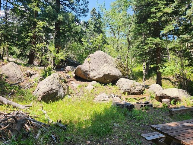 181 Lion Gulch Rd, Rye, CO 81069