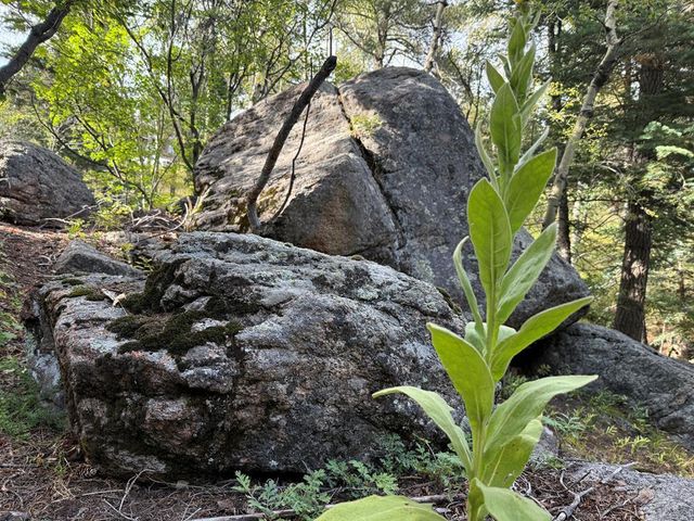 181 Lion Gulch Rd, Rye, CO 81069