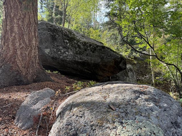 181 Lion Gulch Rd, Rye, CO 81069