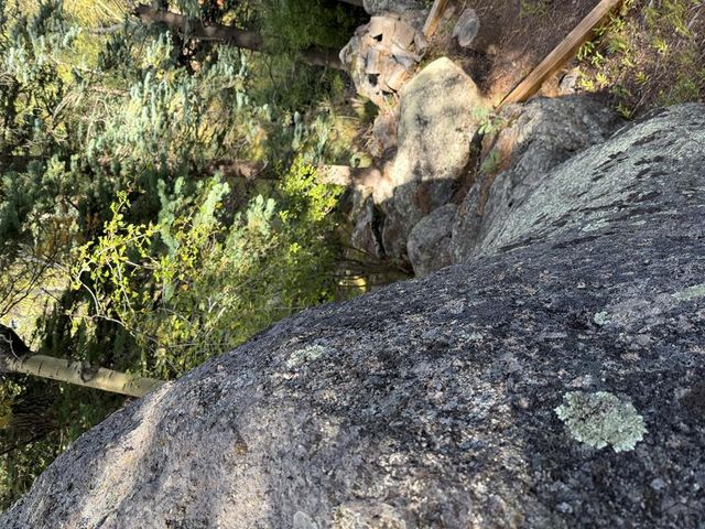 181 Lion Gulch Rd, Rye, CO 81069