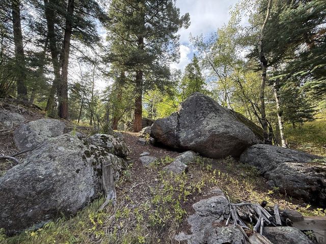 181 Lion Gulch Rd, Rye, CO 81069