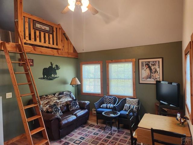 181 Lion Gulch Rd, Rye, CO 81069