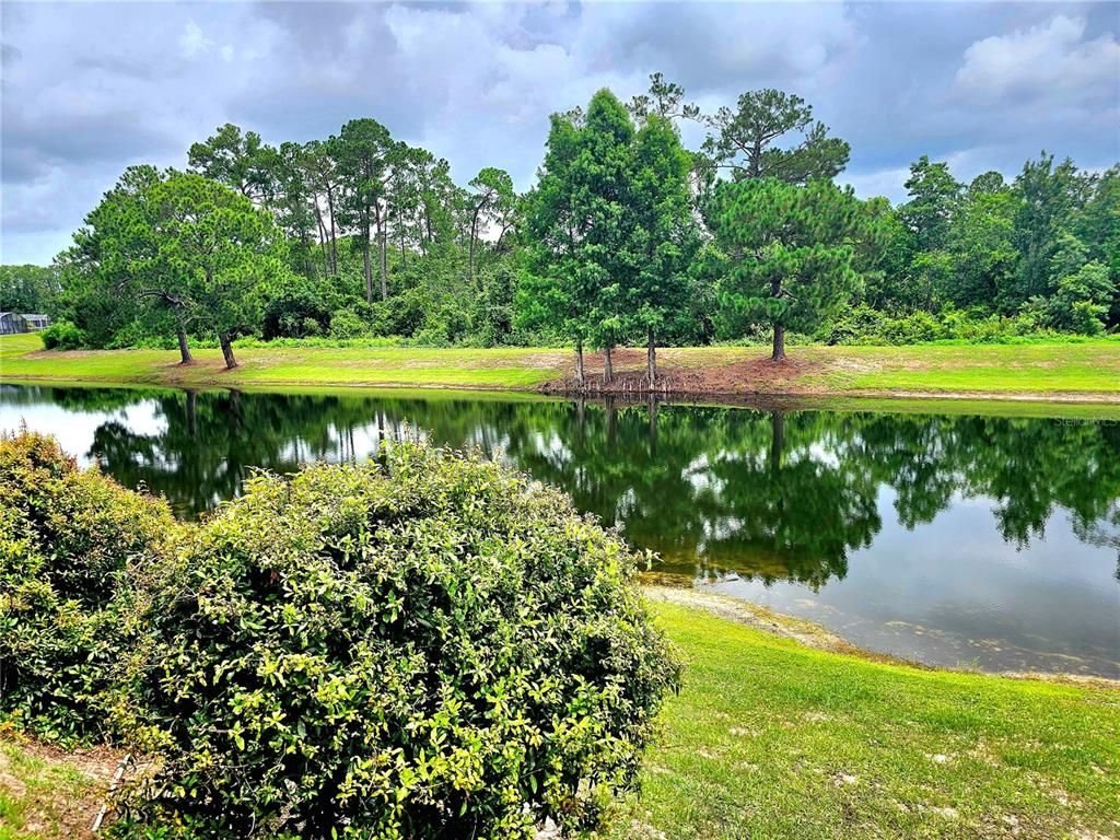 Image 4 of property listing at 8652 WELLINGTON LOOP, Kissimmee, FL 34747