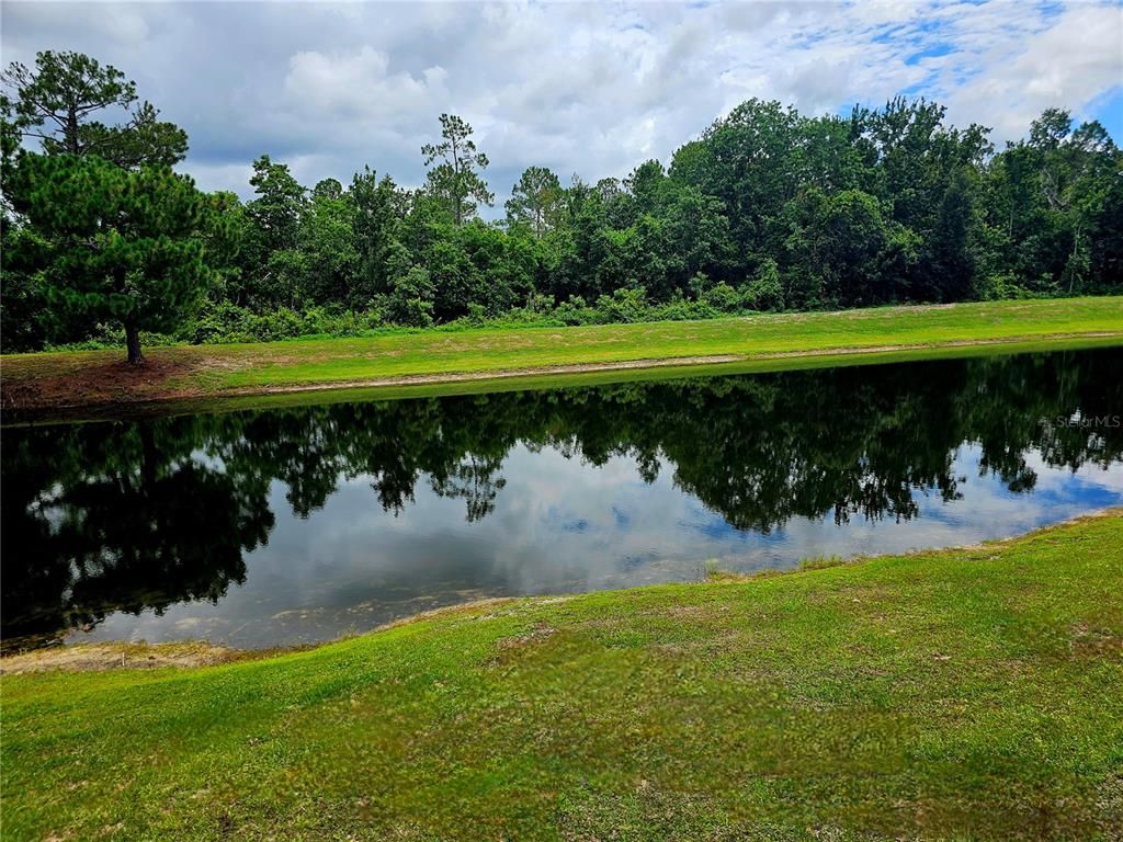 Image 5 of property listing at 8652 WELLINGTON LOOP, Kissimmee, FL 34747