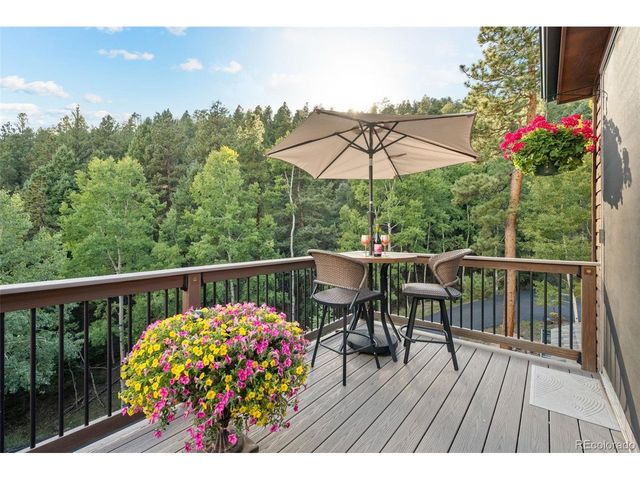 13328 Elsie Rd, Conifer, CO 80433