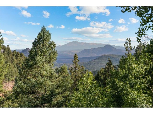 13328 Elsie Rd, Conifer, CO 80433