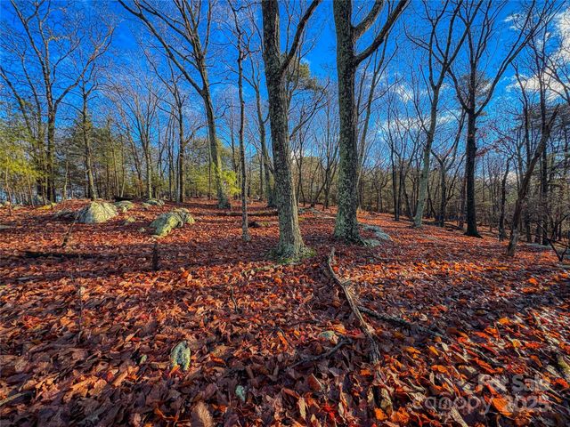 338 Sierra Trace Road, Denton, NC 27239