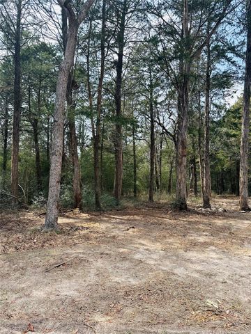 1053 Elm Crest Drive, New Ulm, TX 78950