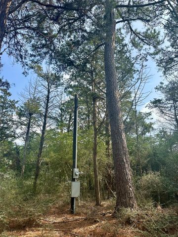 1053 Elm Crest Drive, New Ulm, TX 78950