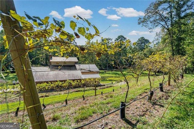 25 Clayton Chester Road, Dawsonville, GA 30534