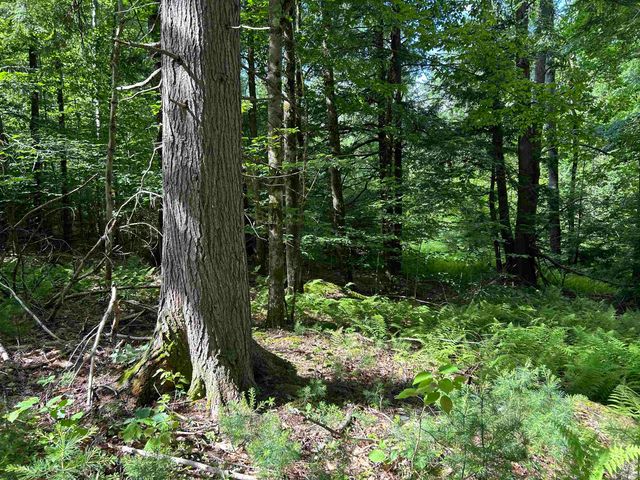 59 Curtis Road, Farmington, NH 03835