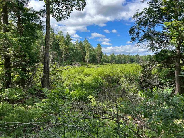 59 Curtis Road, Farmington, NH 03835