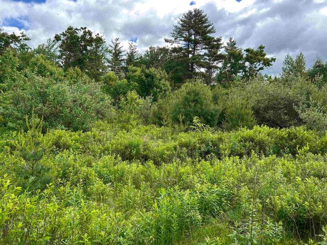 59 Curtis Road, Farmington, NH 03835