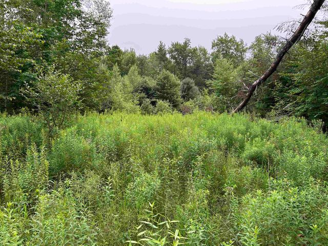 59 Curtis Road, Farmington, NH 03835