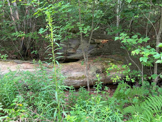 59 Curtis Road, Farmington, NH 03835