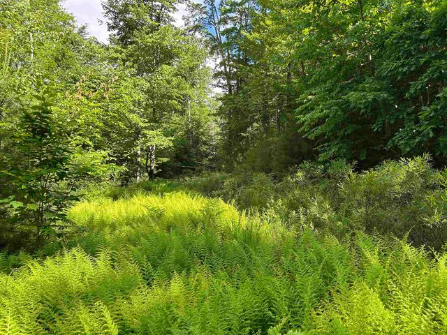 59 Curtis Road, Farmington, NH 03835