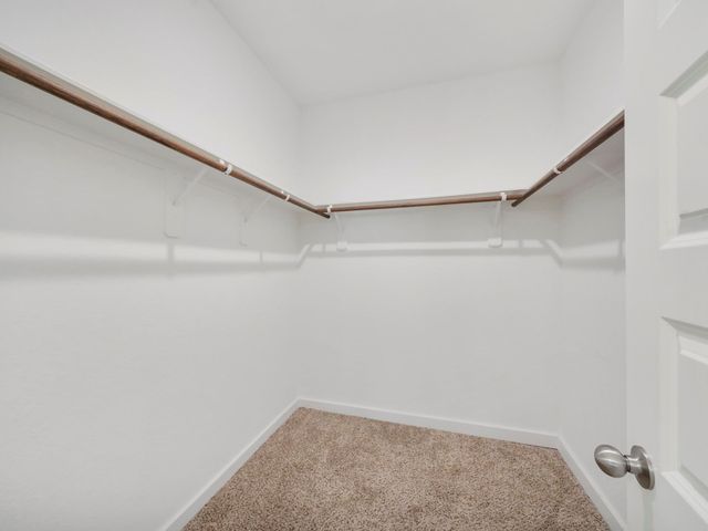25156 Pacific Wren Drive, Magnolia, TX 77354