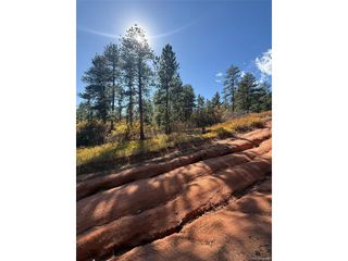 8181 Bannock Dr, Larkspur, CO 80118