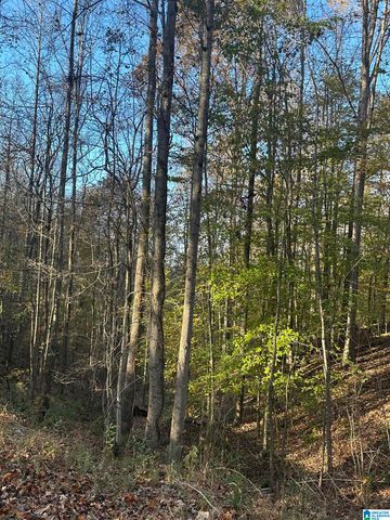 526 COUNTY ROAD 125, Heflin, AL 36264