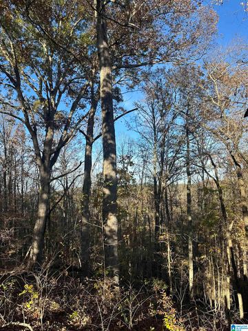 526 COUNTY ROAD 125, Heflin, AL 36264