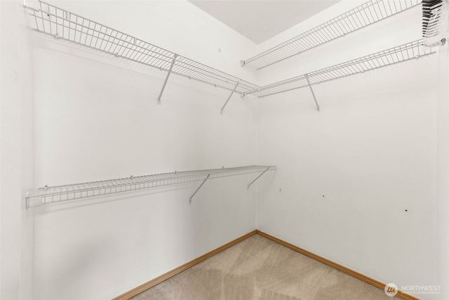 1441 Rooklidge St, Dupont, WA 98327