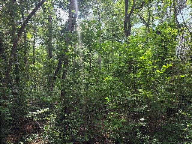16816 Mimosa Lane, Splendora, TX 77372