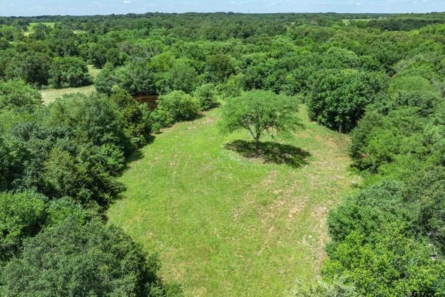 Lot 6 RS CR 1150, Emory, TX 75440