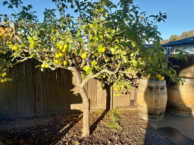 20120 Portola Drive, Salinas, CA 93908