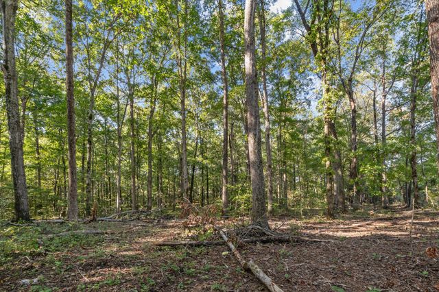 1127 E Pruett Rd, Dickson, TN 37055