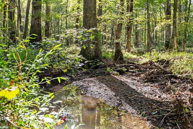 1127 E Pruett Rd, Dickson, TN 37055