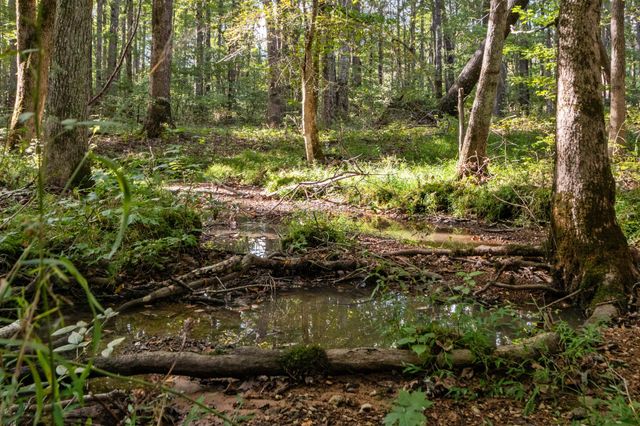 1127 E Pruett Rd, Dickson, TN 37055